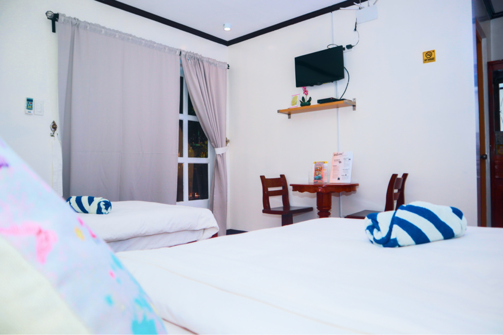Twin Room (Garden View)